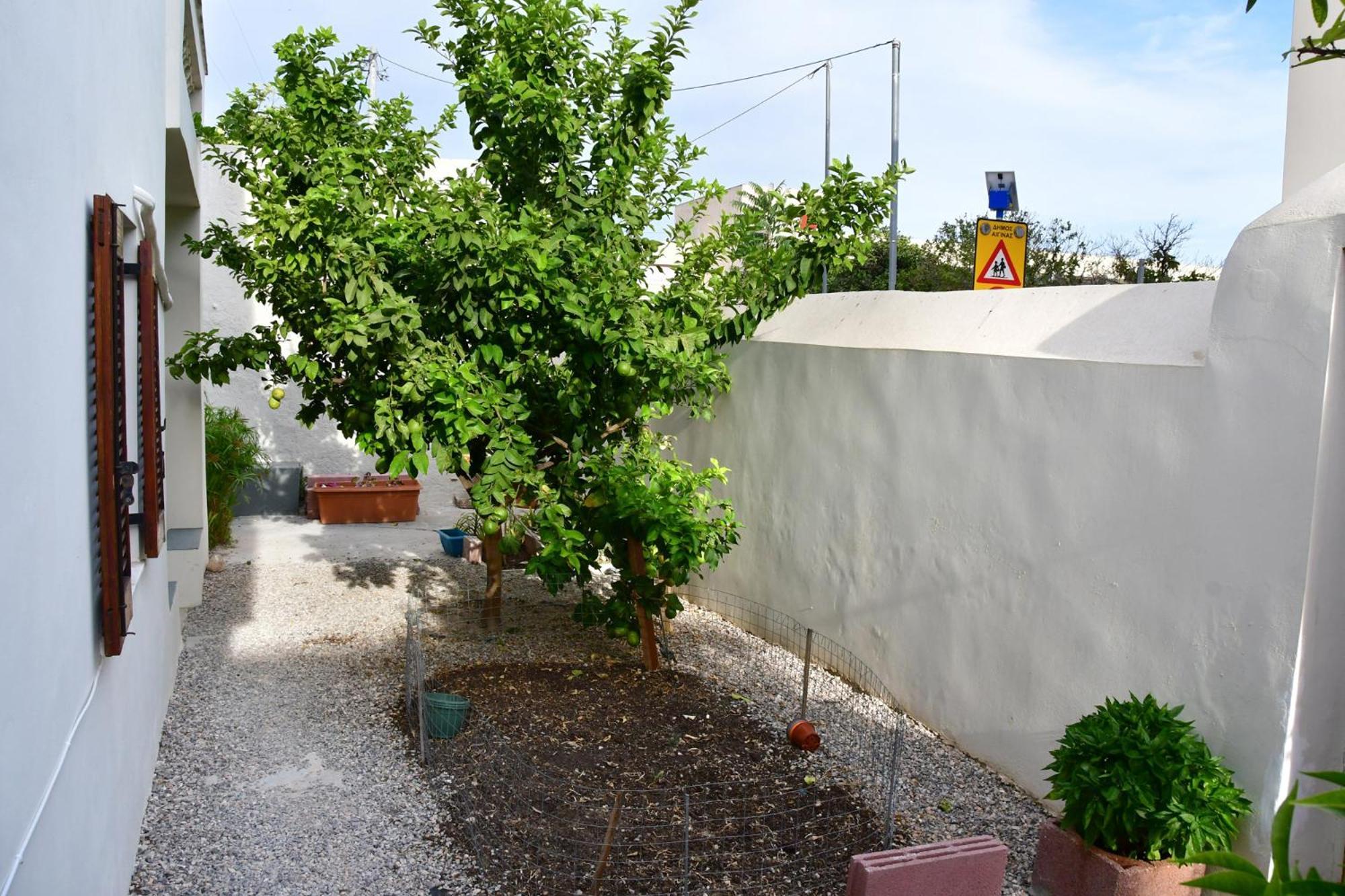 Apartamento Αρχοντικό Σπίτι Στην Αίγινα Exterior foto